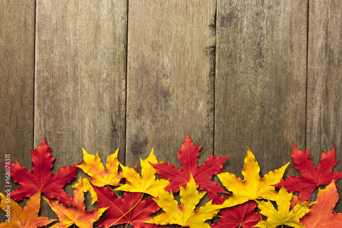 autumn background of fall leaves on the wooden board, top view;