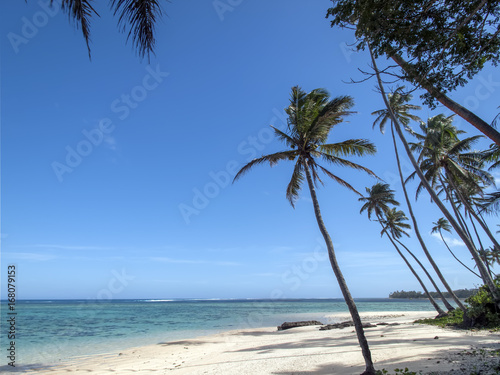 Spiaggia delle Isole Fiji  in tutta la sua bellezza  tra spiaggie bianche e palme