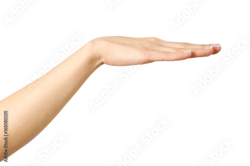 Woman's stretched hand with open palm