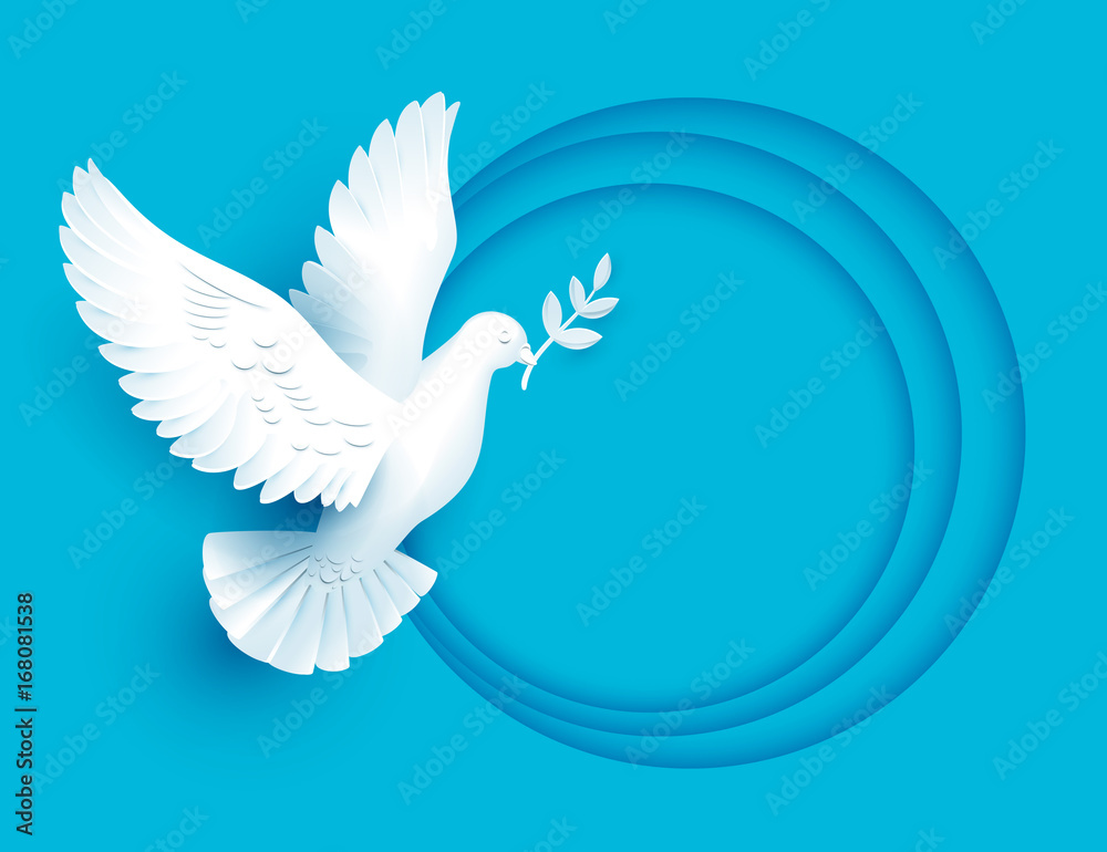 White dove holds twig symbol of peace White dove holds twig symbol of peace
