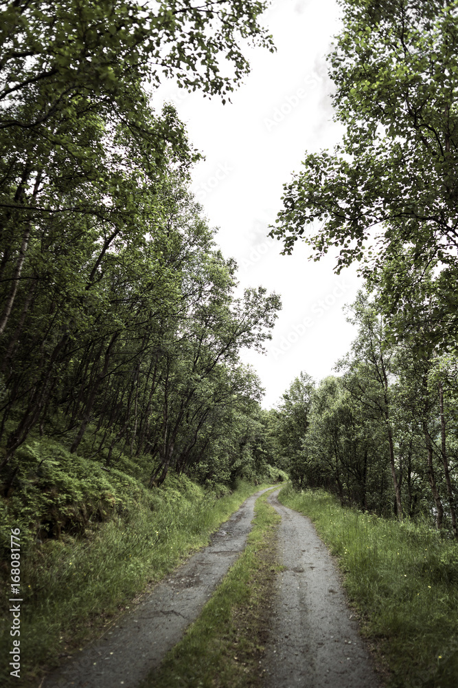Road trip in the Lyngen Alps, Tromsø region, Norway