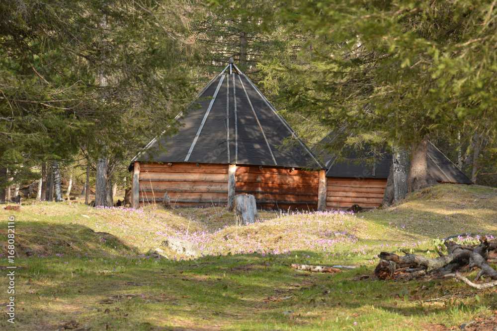 traditional Altai building from logs ail