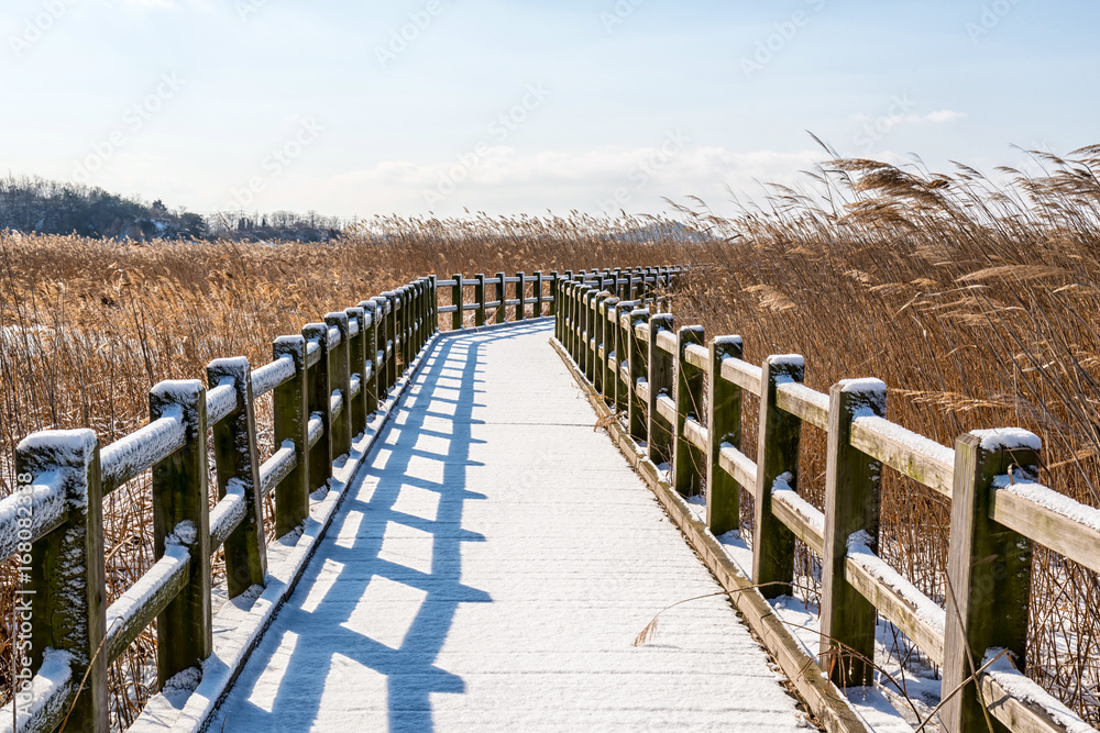 The narrow wooden bridge covered with white snow