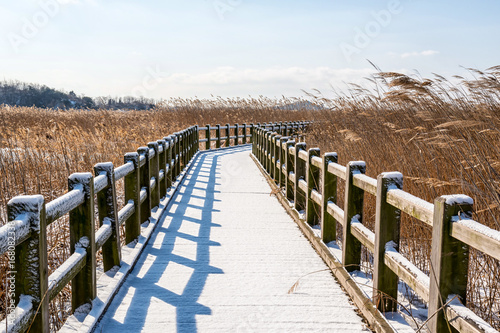 Fototapeta Naklejka Na Ścianę i Meble -  The narrow wooden bridge covered with white snow