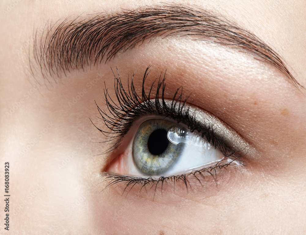 Obraz premium Closeup macro portrait of female face. Human girl eye with day beauty makeup. Woman with perfect skin and freckles