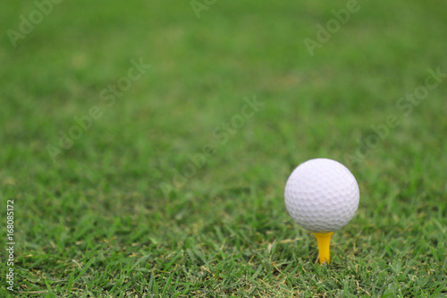 Golf Ball on the Tee