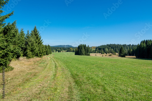 Green mountain landscape. Rural path under clear blue summer sky. Natural grassland, coniferous trees in dry grass and hill on horizon. Summery hiking in Novohradske mountains, Czech Republic, Europe.