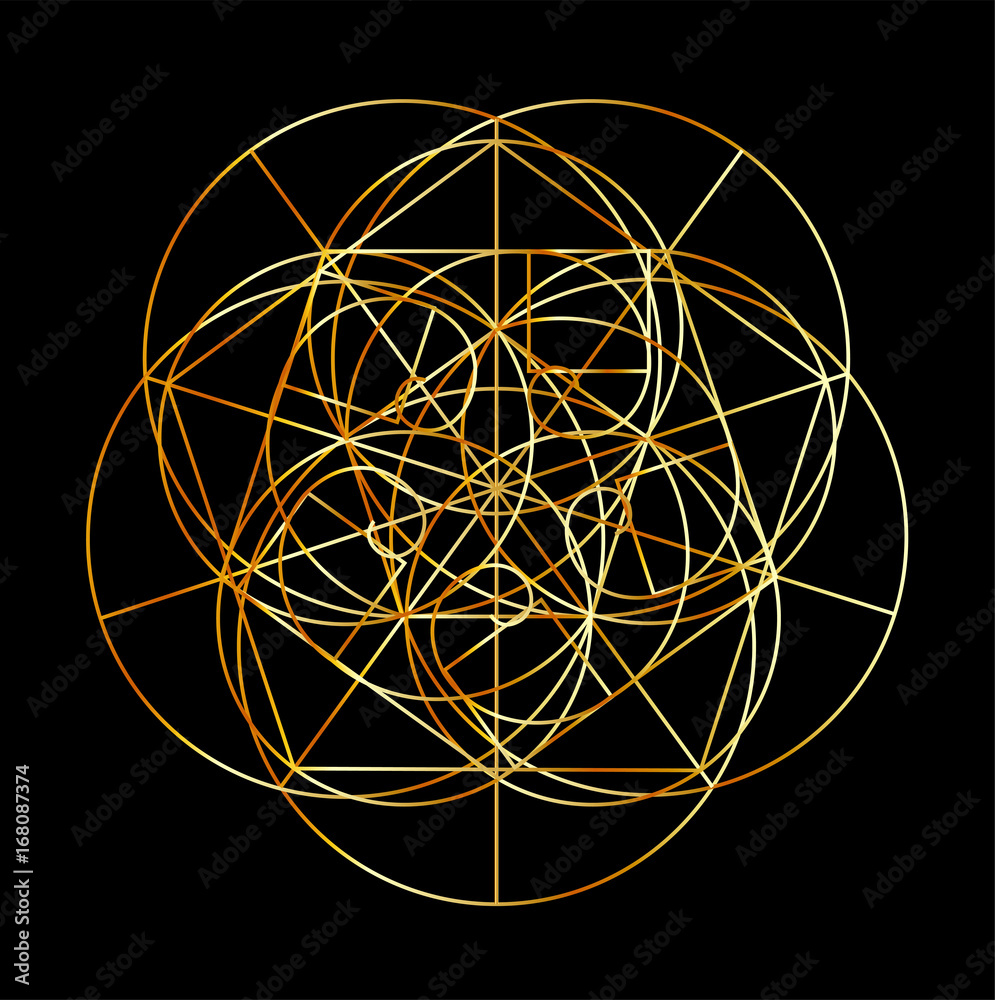 Fototapeta premium Fibonacci Spiral- The sacred geometry