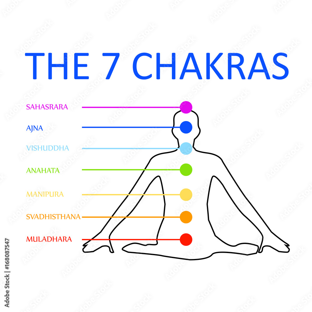 The seven chakras with their respective colors Stock Vector | Adobe Stock