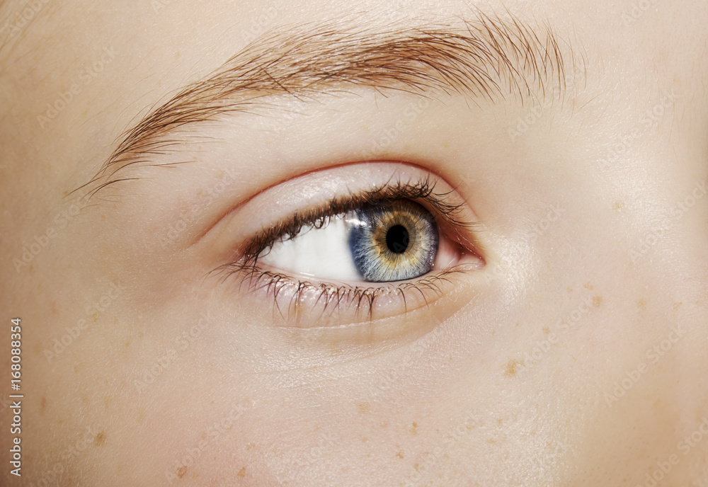 Fototapeta premium A beautiful insightful look eye. Close up shot
