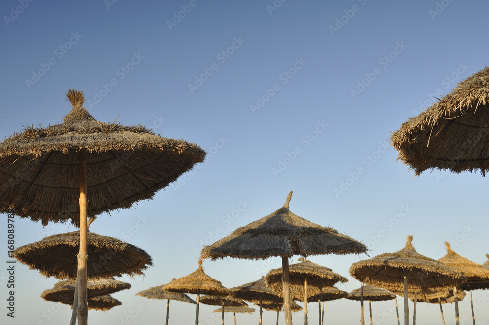 Пляжные зонтики на фоне голубого неба