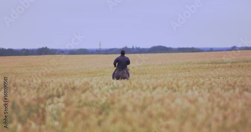 Wallpaper Mural A rider on a horse is galloping across the field Torontodigital.ca