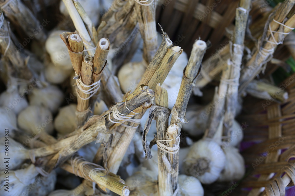 Garlic bunches for sale at the Farmers Market