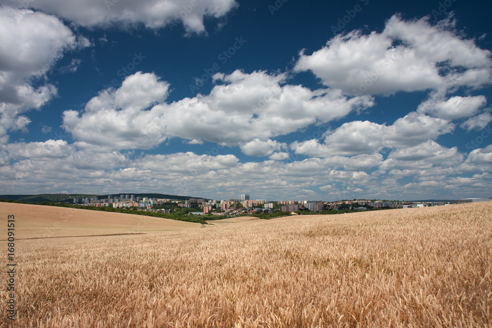 Aerial view of housing estates, in foreground a cereal field