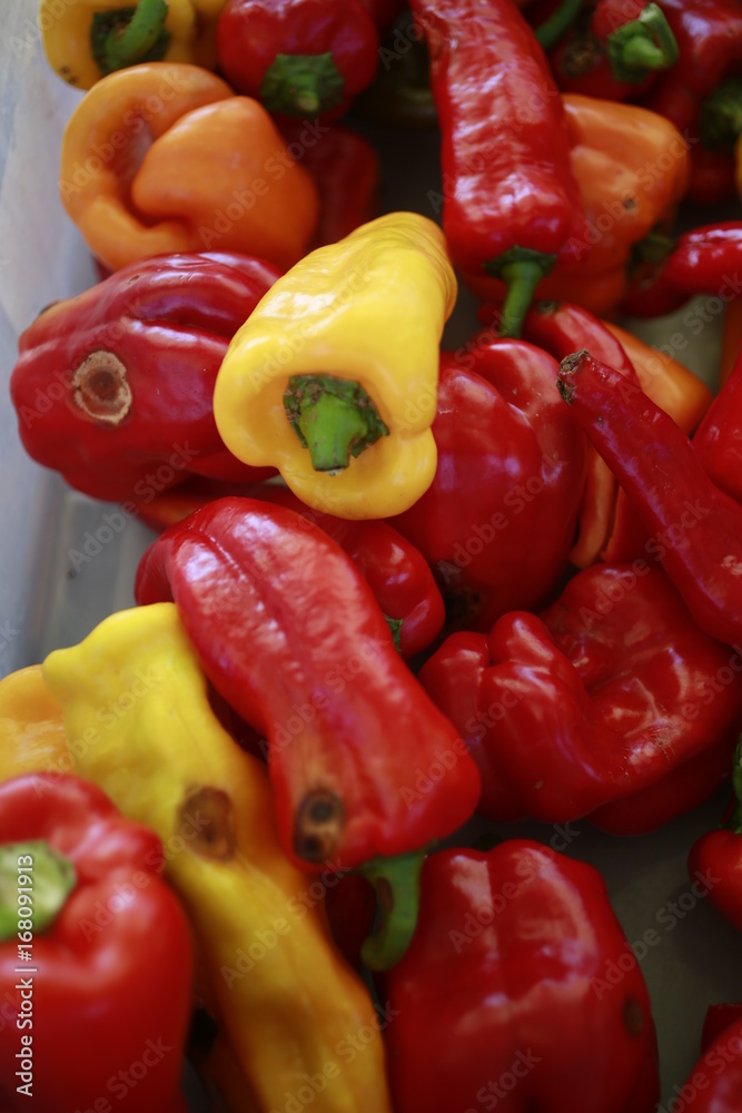 Peppers for sale at the Farmers Market