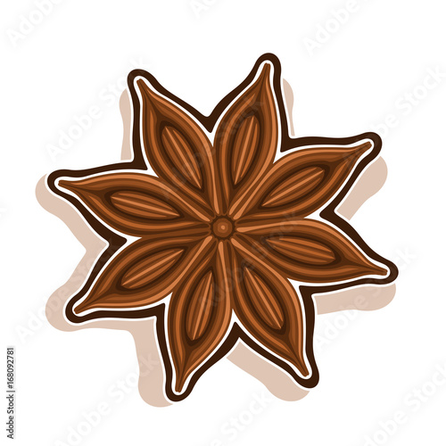 Vector icon for Star Anise: wooden dry pod with brown seeds aniseed top view, ingredient for baking star anise, chinese spice badian isolated on white, indian condiment anis, cooking seasoning anice.