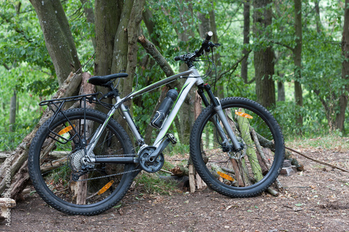 Mountain bike tied to a tree in the woods in the summer morning.