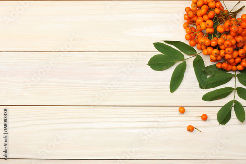 Rowan with green leaf on white wooden table. top view with copy space