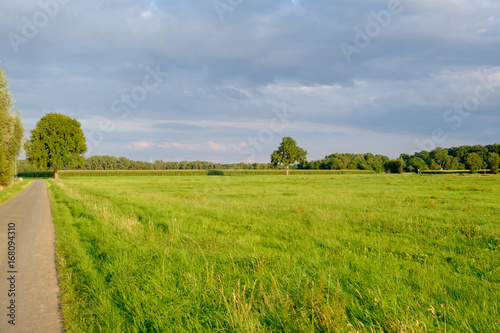 Am Niederrhein bei Hünxe photo