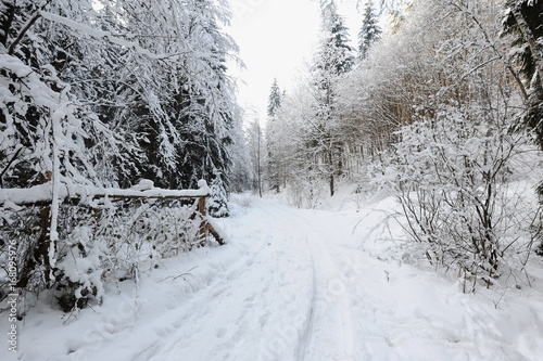 Winter landscape of Bohemian Switzerland