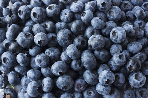 Fresh Blueberry Background. Texture blueberry berries close up
