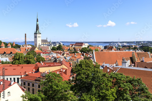 Tallinn old town city panorama in summer