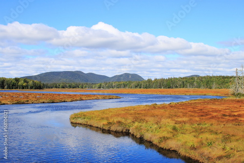 river meanders 