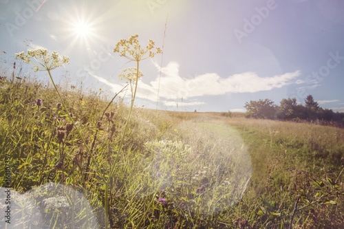 Beautiful Slovak landscape - Mala Fatra mountain photo