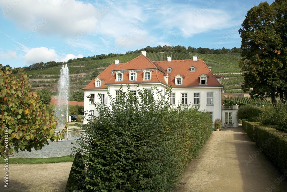 weinberg radebeul weinberg radebeul