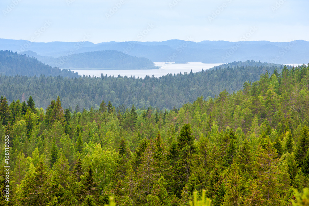aerial view over the small lake and island surrounded by forests aerial view over the small lake and island surrounded by forests