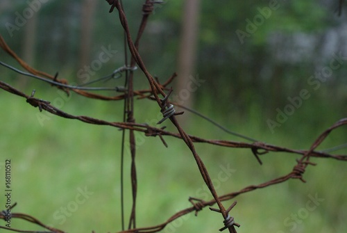 Old and rusty barbed wire