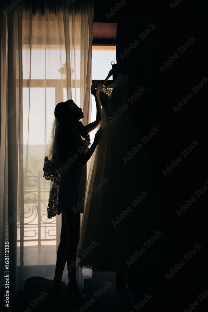 Bride silhouette with long brunette hair.