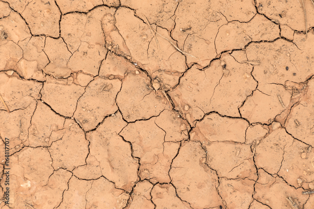 spoiled loam with scratches and dried earth spoiled loam with scratches and dried earth