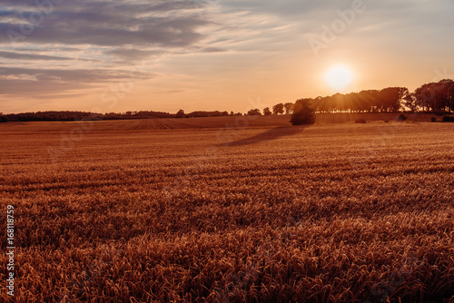 Rural landscape in sunset time. Poland.