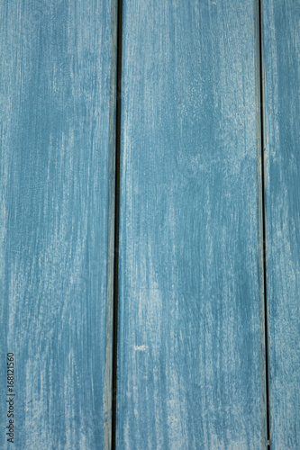 Blue-wash wood panel portrait