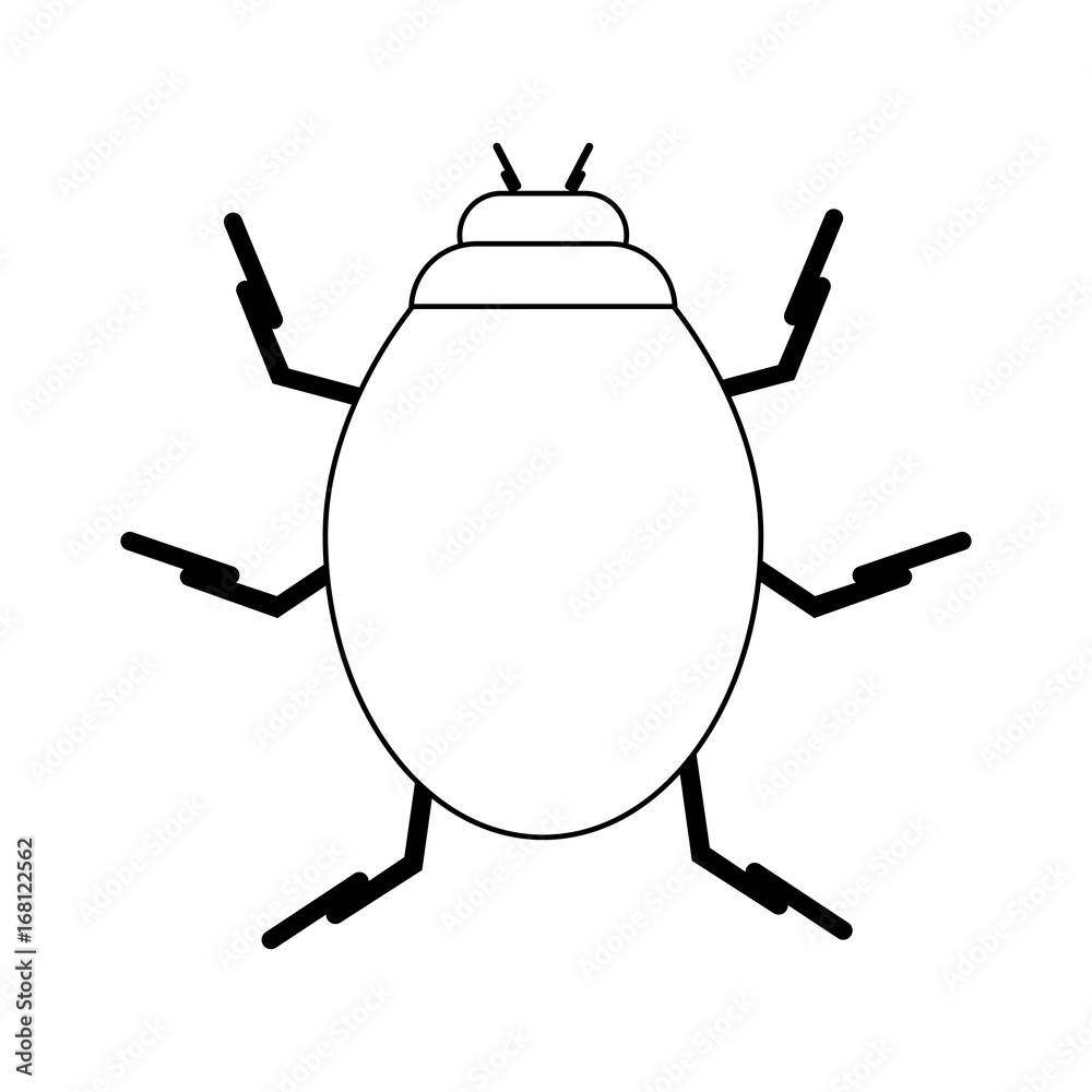 bug insect icon image vector illustration design black line