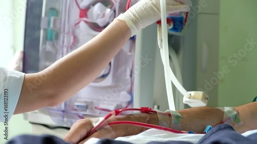 The doctor in the process of hemodialysis procedure