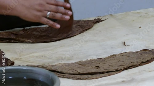 Strechting the cigar leaves in a cigar factory in Esteli Nicaragua photo