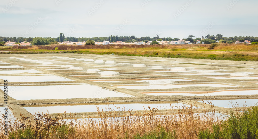 Traditional salt marsh of Noirmoutier during the salt harvest Traditional salt marsh of Noirmoutier during the salt harvest