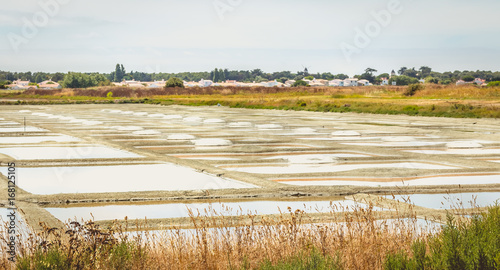 Traditional salt marsh of Noirmoutier during the salt harvest