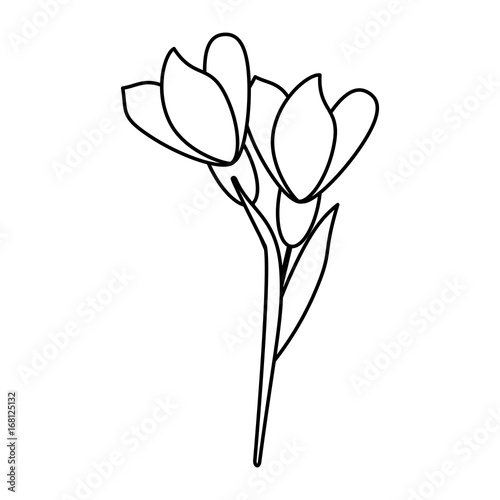 delicate flower icon image vector illustration design
