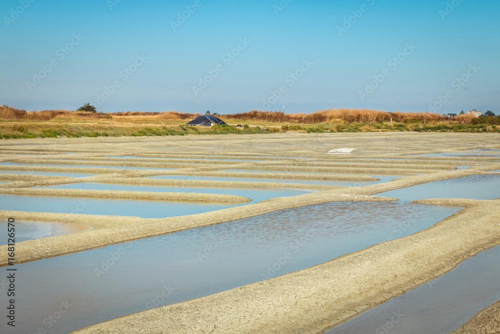 Traditional salt marsh of Noirmoutier during the salt harvest