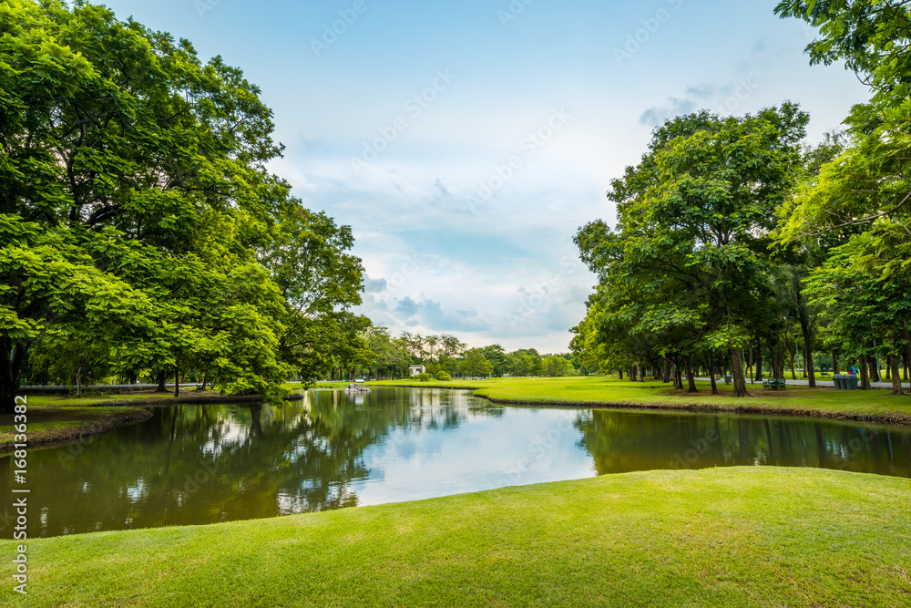 green grass field with lake in public park