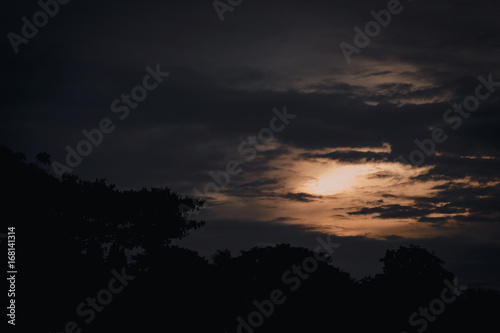 Silhouettes of the trees. Beautiful sunset sky, color and dark tone.