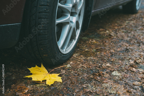 Maple leaf, wheel and tyre closeup on dirty autumn road © alexpolo