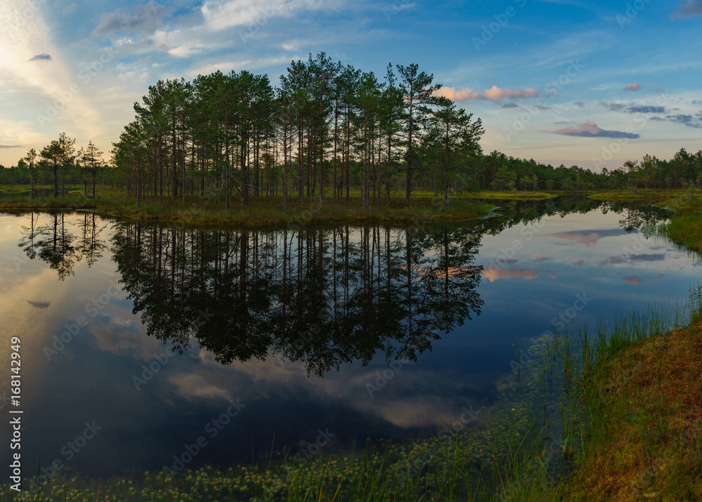 Obraz premium Wonderful sunset cky over Suru Suursoo bog, Estonia
