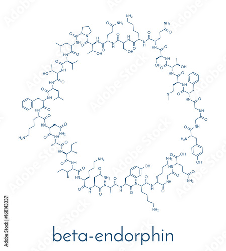 Beta-endorphin endogenous opioid peptide molecule. Skeletal formula.