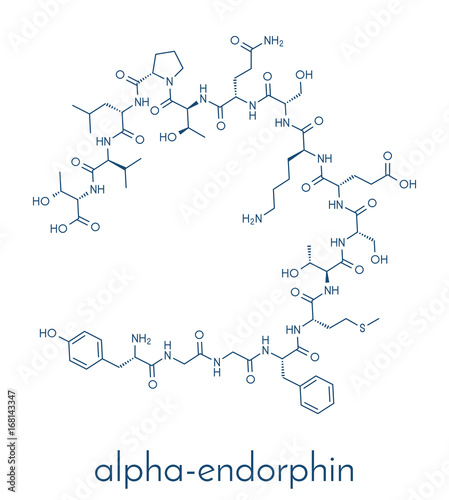 Alpha-endorphin endogenous opioid peptide molecule. Skeletal formula. photo