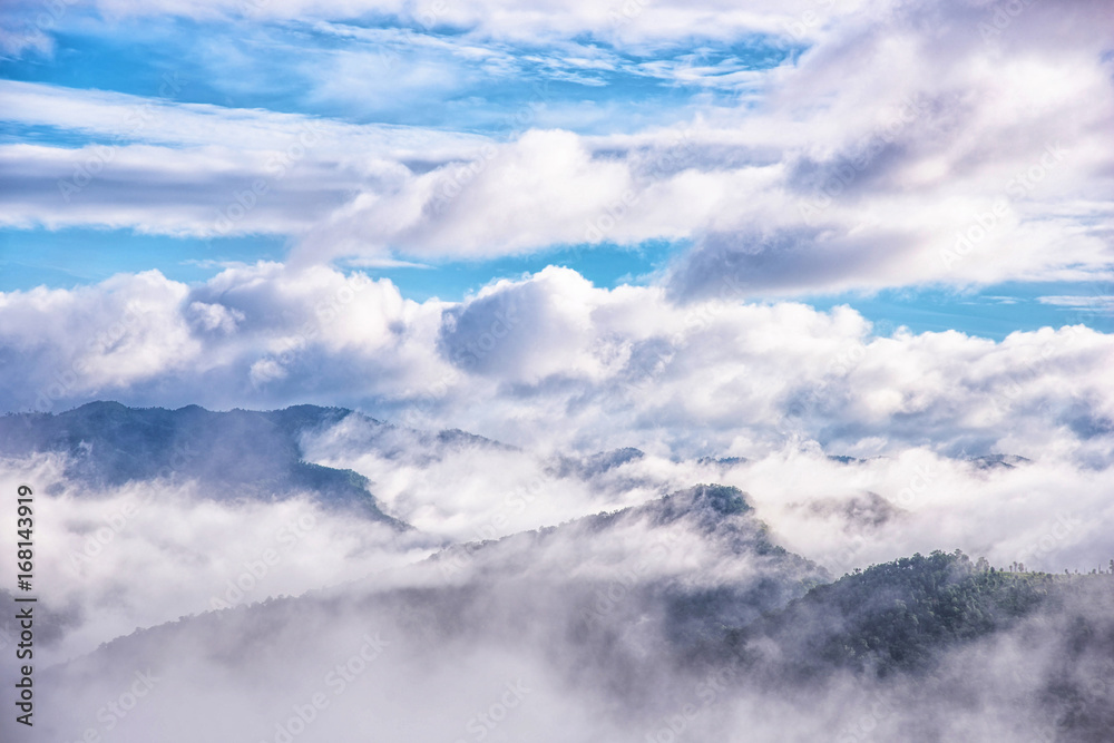 Landscape of Morning mist.