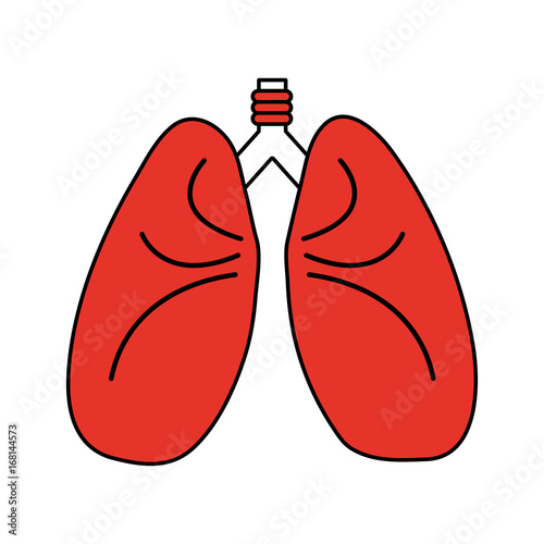 Flat line lungs with hint of color over white background vector illustration